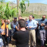 Επίσκεψη του Δημάρχου Αμυνταίου στις πληγείσες από τη χθεσινή χαλαζόπτωση περιοχές του Δήμου Αμυνταίου (5)